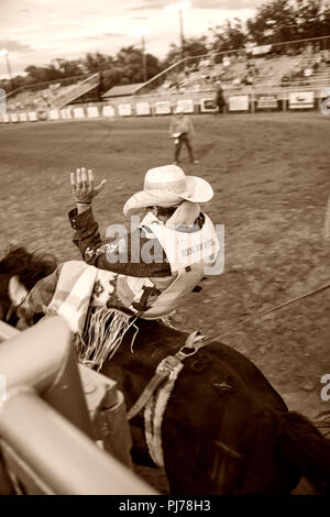 Bareback bronc Rider konkurrieren in Texas Rodeo. USA Stockfoto