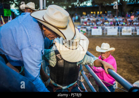 Rodeo Cowboy in Teschow, Texas, USA Stockfoto