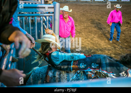 Rodeo Cowboy in Teschow, Texas, USA Stockfoto