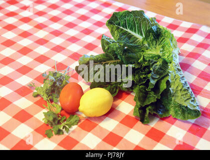 Römersalat, Tomaten, Roma und ganze Zitrone auf einem Rot karierte Tischdecke Stockfoto