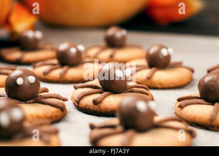 Lustig lecker Ingwer Kekse für Halloween auf dem Tisch. Satz von Schokolade Halloween spinne Cookies auf Papier für Backen und Holz- Hintergrund Stockfoto