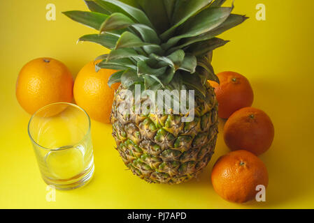 Single Ananas auf gelben Hintergrund mit leeren Glas und Mandarinen in der halben Runde platziert isoliert. Stockfoto