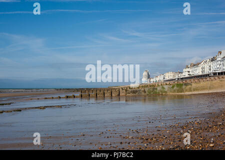 Hastings Meer in eine Ebbe, East Sussex, England, Blick nach Westen auf den Pier, selektiver Fokus auf die nächste Meer Leiste Stockfoto