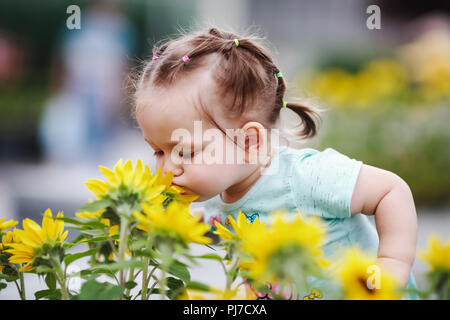 Kleines Mädchen Blumen riechen Stockfoto
