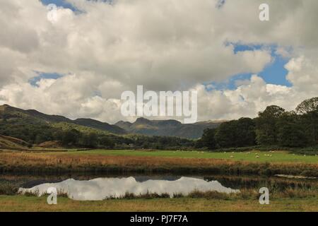 UK, Elterwater, englischen Lake District, Cumbria. Blick auf den Langdale Pikes aus Elterwater im englischen Lake District. Stockfoto