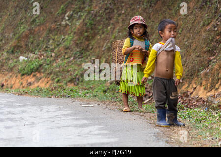 Ha Giang, Vietnam - März 17, 2018: Kinder der Hmong nomadischen Bevölkerung, landwirtschaftliche Arbeiten in den Bergen im Norden von Vietnam Stockfoto