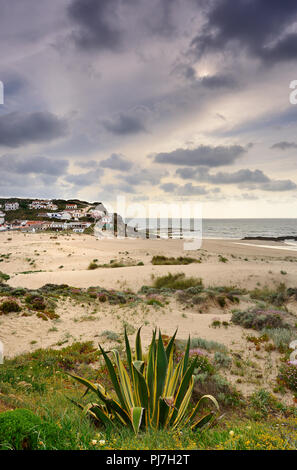 Strand von Monte Clérigo. Parque Natural do Sudoeste Alentejano e Costa Vicentina. Algarve, Portugal Stockfoto