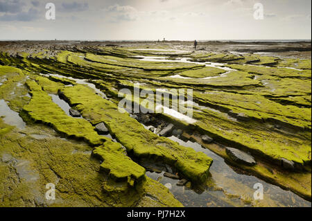 Felsformationen. Parque Natural do Sudoeste Alentejano e Costa Vicentina, die wildesten Atlantikküste in Europa. Algarve, Portugal Stockfoto