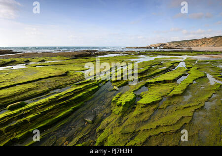 Felsformationen. Parque Natural do Sudoeste Alentejano e Costa Vicentina, die wildesten Atlantikküste in Europa. Algarve, Portugal Stockfoto