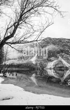 Monochromes Bild der schönen, ruhigen Bohinjer See im Winter mit Bergen im Hintergrund, im Wasser widerspiegelt. Stockfoto