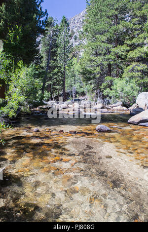 Rock Creek fließt durch Iris wiese Campingplatz in der östlichen Sierra Nevada Bergen in Kalifornien USA Stockfoto