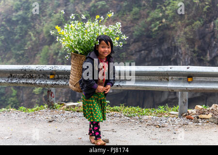 Ha Giang, Vietnam - am 18. März 2018: Kind aus der ethnischen Minderheit der Hmong, die Blumen in den Bergen im Norden von Vietnam zu verkaufen. Kinderarbeit ist Stockfoto