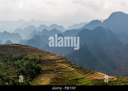 Ha Giang, Vietnam - am 18. März 2018: die malerischen Reisterrassen von Hügeln und nebligen Berge in Vietnam umgeben Stockfoto