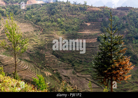 Ha Giang, Vietnam - am 18. März 2018: die malerischen Reisterrassen in den Bergen im Norden von Vietnam Stockfoto