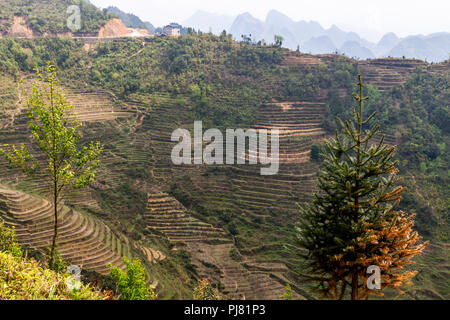 Ha Giang, Vietnam - am 18. März 2018: die malerischen Reisterrassen in den Bergen im Norden von Vietnam Stockfoto