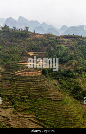Ha Giang, Vietnam - am 18. März 2018: die malerischen Reisterrassen von Hügeln und nebligen Berge in Vietnam umgeben Stockfoto