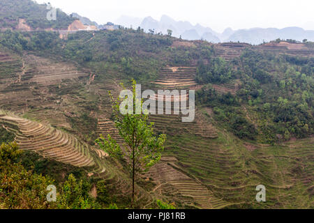 Ha Giang, Vietnam - am 18. März 2018: die malerischen Reisterrassen von Hügeln und nebligen Berge in Vietnam umgeben Stockfoto