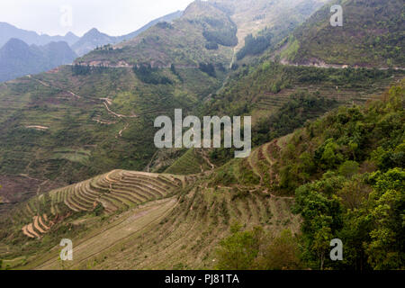 Ha Giang, Vietnam - am 18. März 2018: die malerischen Reisterrassen von Hügeln und nebligen Berge in Vietnam umgeben Stockfoto