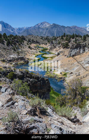 Der Owens River fließt durch die Long Valley Caldera in Mono County am Hot Creek wilde Forellen, Kalifornien, USA Stockfoto