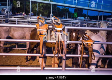 Rodeo in Teschow, Texas USA. Tag der Arbeit 2018. Stockfoto