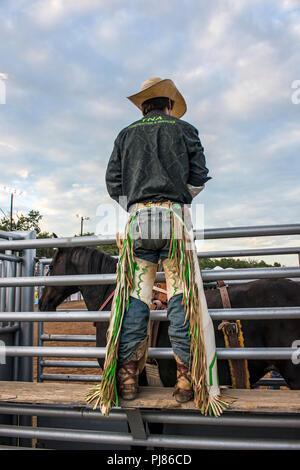 Cowboy im Western fettbacke Texas Rodeo USA. Stockfoto