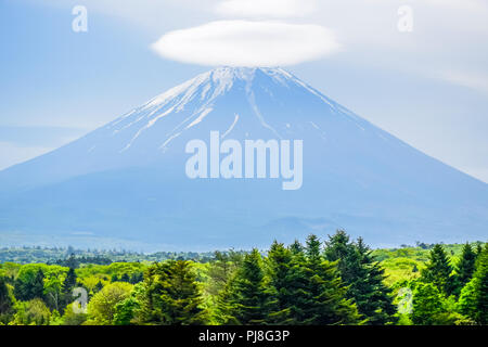 Mount Fuji anzeigen mit Cloud auf ihre Spitze von Fuji Shibazakura moss phlox Festival in Kawaguchiko, Japan Stockfoto