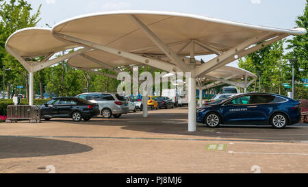 SHANGHAI, China - 14. MAI 2018: Electromobiles Park. Electric Car Sharing System in Shanghai, China Stockfoto