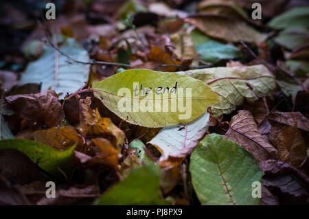 Gelb Blatt mit der Aufschrift am Ende auf dem Hintergrund der gefallenen Herbst Laub Stockfoto