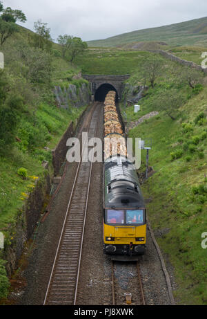 Carlisle, England, Großbritannien - Juli 2, 2015: eine Klasse 60 diesel Schwere Güterzuglokomotive schleppt einen Zug von Holz durch Blea Moor Tunnel auf dem Gipfel der Stockfoto