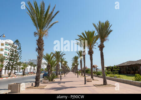 Von Palmen gesäumte Promenade mit strassenleuchten Yasmine Hammamet, Tunesien Stockfoto