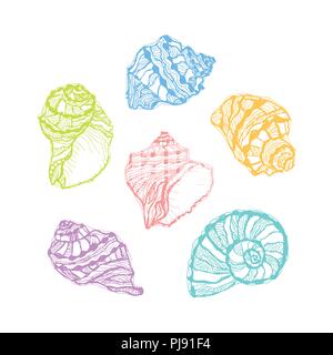 Vektor bunte Seashell eingestellt. Abbildung der Skizzen Muschel Muscheln gezeichnet. Stock Vektor