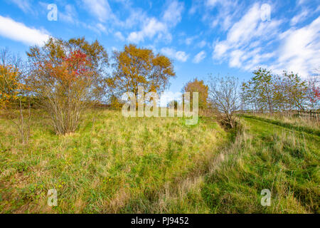 Landschaft Englands. Wiese ganz oben auf dem Hügel in der britischen Wälder. Bäume mit Blättern, die Veränderung der Farben von Staffordshire Landschaft Natur im frühen Herbst. Stockfoto