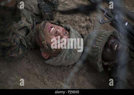 Us Marine Corps Rct. Douglas Wright, mit Platoon 2057, Echo, 2. rekrutieren Ausbildung Bataillon, Aufzüge eine Ziehharmonika Draht, so dass Seine fireteam Partner, Rct. Jovan Jones, mit Platoon 2057, Echo, 2. rekrutieren Ausbildung Bataillon, können kriechen unter während der Krieger Training Juli 6, 2018 auf Parris Island, S.C. Basic Krieger Training ist entworfen, um die Bedeutung der Teamarbeit zu lehren, arbeiten unter Stress und wie gut durchzuführen und dabei die kleine Einheit Führung. Echo ist zu graduieren, Nov. 14, 2018 geplant. Rund 19.000 Rekruten kommen auf Parris Island jährlich fo Stockfoto