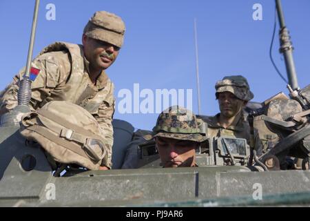 Us-Marines mit Echo. Akku, 2. Bataillon, 10 Marine Regiment (2/10), 2nd Marine Division, interagieren mit Britischen service Mitglieder zu 1. Royal Horse artillery in Salisbury, England, Juli 2, 2018 zugeordnet. Marines mit der Unit durchgeführt live-fire Übungen mithilfe der M777 Haubitze während der Übung grüne Kanone 18. Grüne Kanone ist eine multinationale Übung mit US-Marines die Möglichkeit, Taktiken und Techniken sowie zu Exchange Projekt Letalität und Combat Power auf der ganzen Welt neben Partner Nationen. Stockfoto