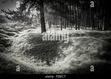 Bewachsene Krater im Morgenlicht auf der Welt Krieg ein Schlachtfeld von Vimy Ridge, Frankreich Stockfoto