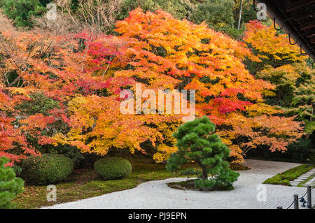 Die Nanzen-ji Tempel Komplex, Kyoto, Japan. Bunte Herbstlaub in den Gärten der Tenju - ein Zen Tempel Stockfoto