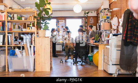 Creative Business Menschen mit Hund im Büro Stockfoto