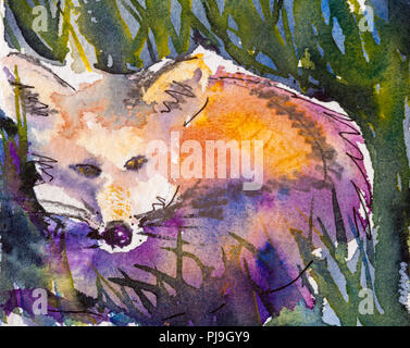 Details Der aquarellmalerei Studien für eine wildlife Illustration Projekts, Farbe, Texturen und Techniken. ein Fuchs. Stockfoto