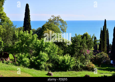 Natur in Abchasien in der Nähe von eine neue Athos Stockfoto