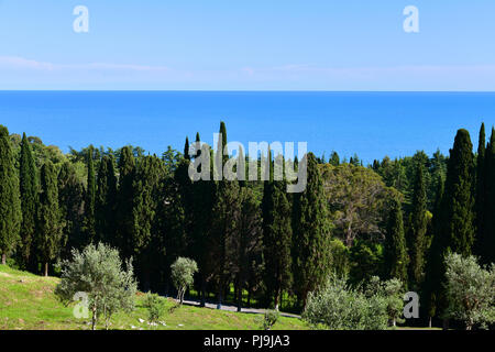 Natur in Abchasien in der Nähe von eine neue Athos Stockfoto