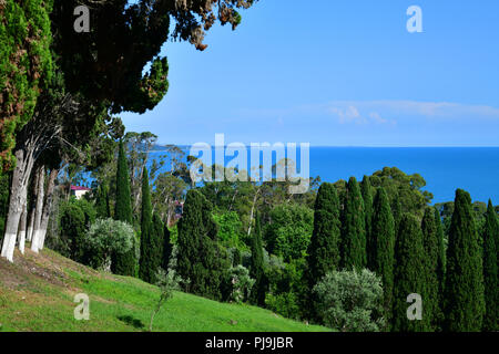 Natur in Abchasien in der Nähe von eine neue Athos Stockfoto