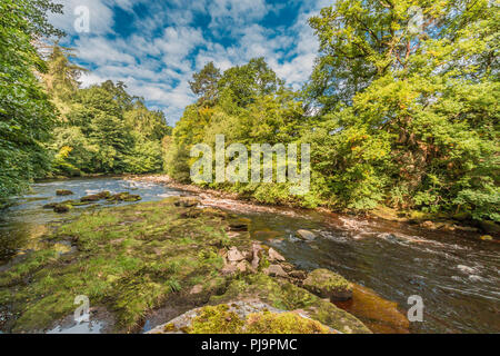 Teesdale Landschaft, den Fluss T-Stücke von den Teesdale Weg lange Strecke Fußweg zwischen Cotherstone und Romaldkirk, County Durham, UK Stockfoto