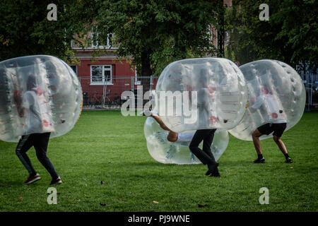 Stoßfänger Fußball Fußball auf der grünen Wiese Stockfoto