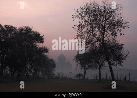 Sublime Taj Mahal die Wunder der Welt und der Stolz von Indien im Winter morgens warmes Licht und Dunst von Bäumen im Garten im Vordergrund gerahmt Stockfoto