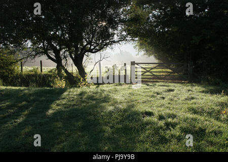 Am frühen Morgen Szene an Llanrhidian auf der Halbinsel Gower, Swansea, Südwales. Gower war das erste Gebiet ein Gebiet von außergewöhnlicher natürlicher Stockfoto