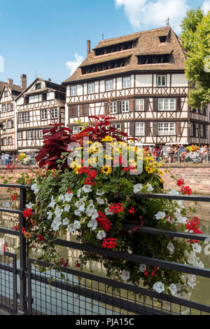 Blumen am Geländer, Petite France, Strasbourg, Frankreich Stockfoto