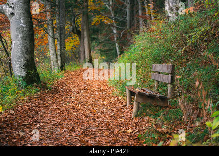 Herbst Szene mit einer Gasse durch einen Wald, durch gefallene bunte Blätter und einer verwitterten Holzbank fallen, in Füssen, Bayern, Deutschland. Stockfoto