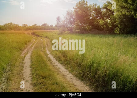Eine kurvenreiche Landstraße in einem Feld unter grünen Gras und Büschen im Sommer Landschaft Stockfoto