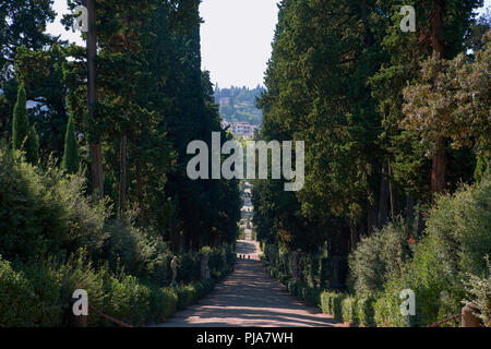 Die Cypress Avenue, wie die Viottolone, die zweite Hauptachse des Boboli Gärten, Florenz bekannt Stockfoto