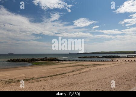 Ein Sommertag von Aberdeen Beach Boulevard. Während der Ebbe nach Süden Wellenbrecher und Gürtel Ness Lighthouse war. Stockfoto